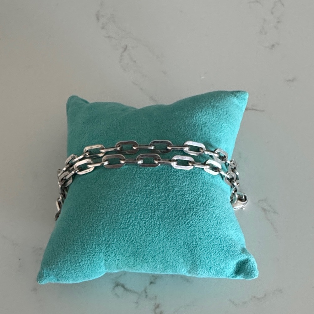 Tiffany & Co. Silver Link Necklace